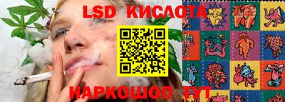 индика Заволжье
