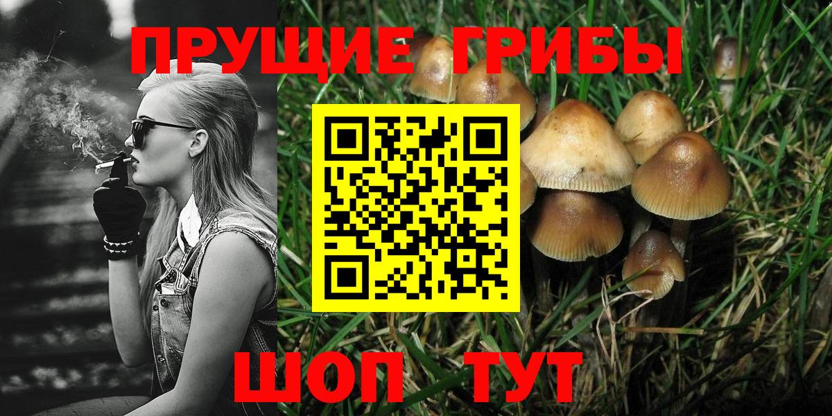 Галлюциногенные грибы Psilocybine cubensis  Вход с VPN  Великий Новгород 